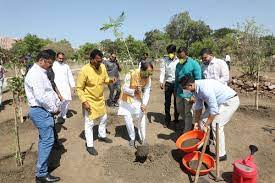 bhopal,Chief Minister Chouhan, planted Gulmohar, Karanj saplings 