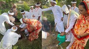 bhopal,Chief Minister Chouhan ,planted Amla plant 