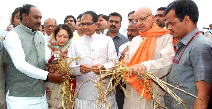 ओला प्रभावित किसानों को  बिजली में राहत